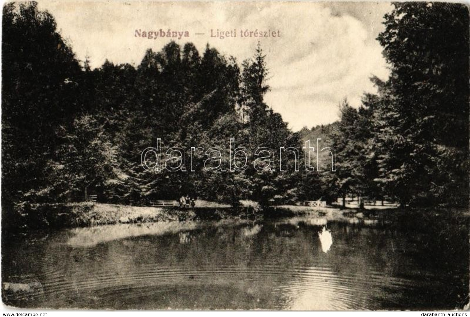 * T3 1921 Nagybánya, Baia Mare; Ligeti Tó / Park, Lake (Rb) - Ohne Zuordnung