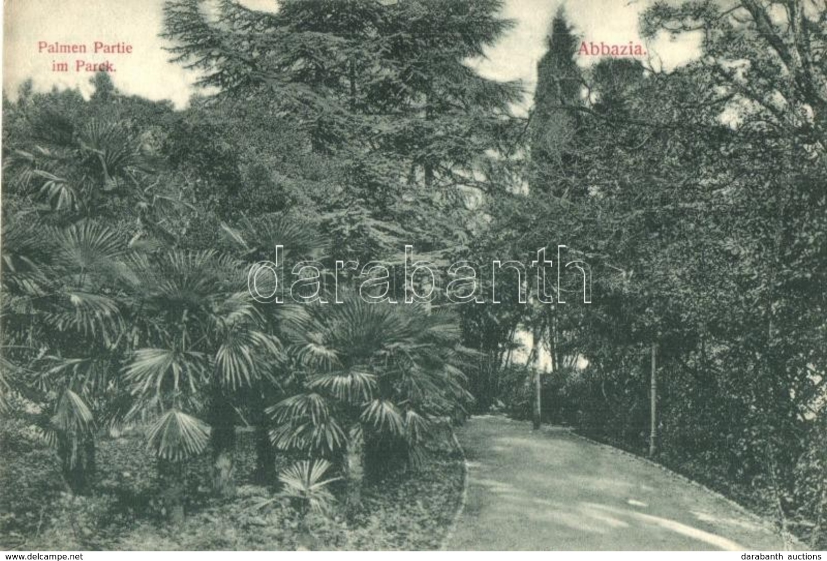 ** T2 Abbazia, Opatija; Palmen Partie Im Parck / Palm Trees In The Park. Divald Károly 678-1909. - Ohne Zuordnung