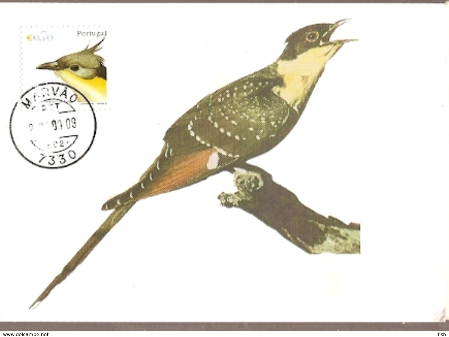 Portugal & Maximum Card, Cuco-Rabilongo, Clamator Glandarius, Marvão 2002 (6682) - Cuckoos & Turacos