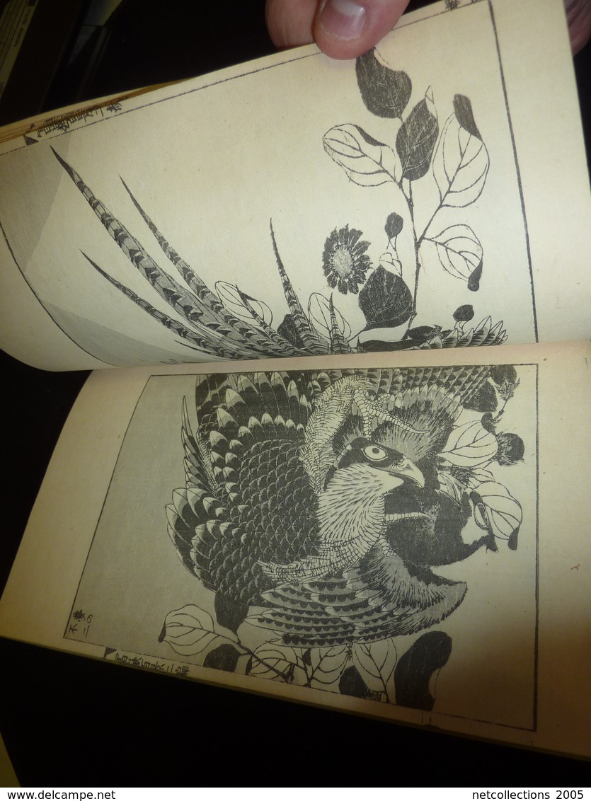 LIVRE ANCIEN JAPONAIS ESTAMPES LITHOGRAPHIES GRAVURES 03 - JAPANESE OLD BOOK ILLUSTRATION