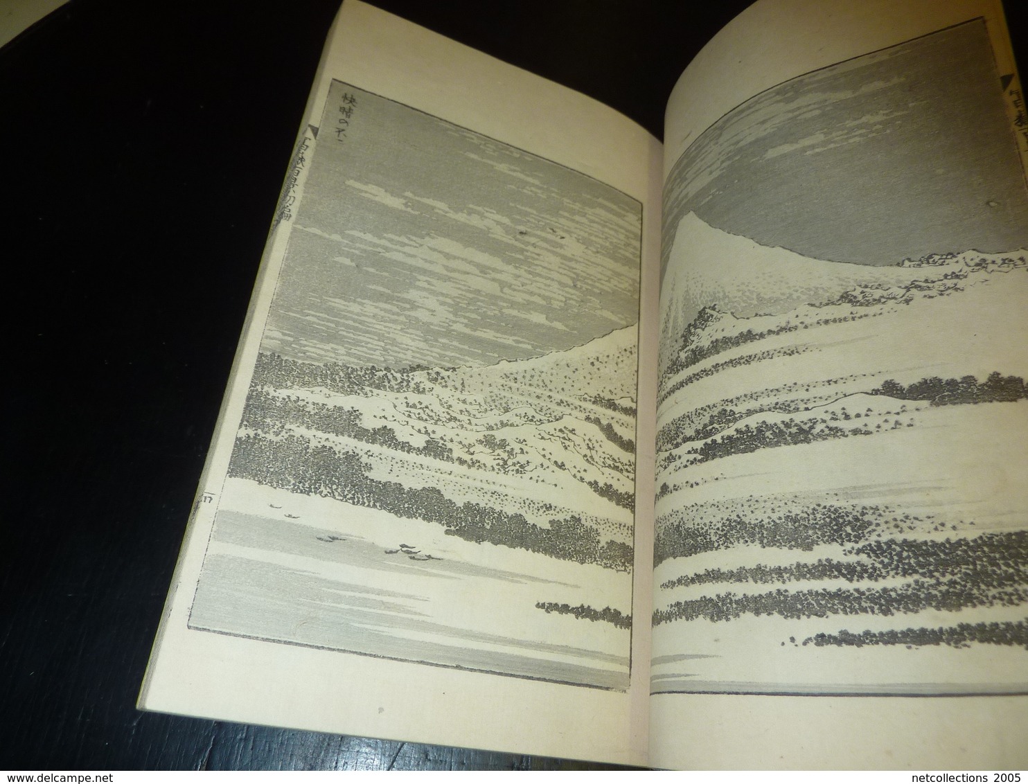 LIVRE ANCIEN JAPONAIS ESTAMPES LITHOGRAPHIES GRAVURES 04 - JAPANESE OLD BOOK ILLUSTRATION