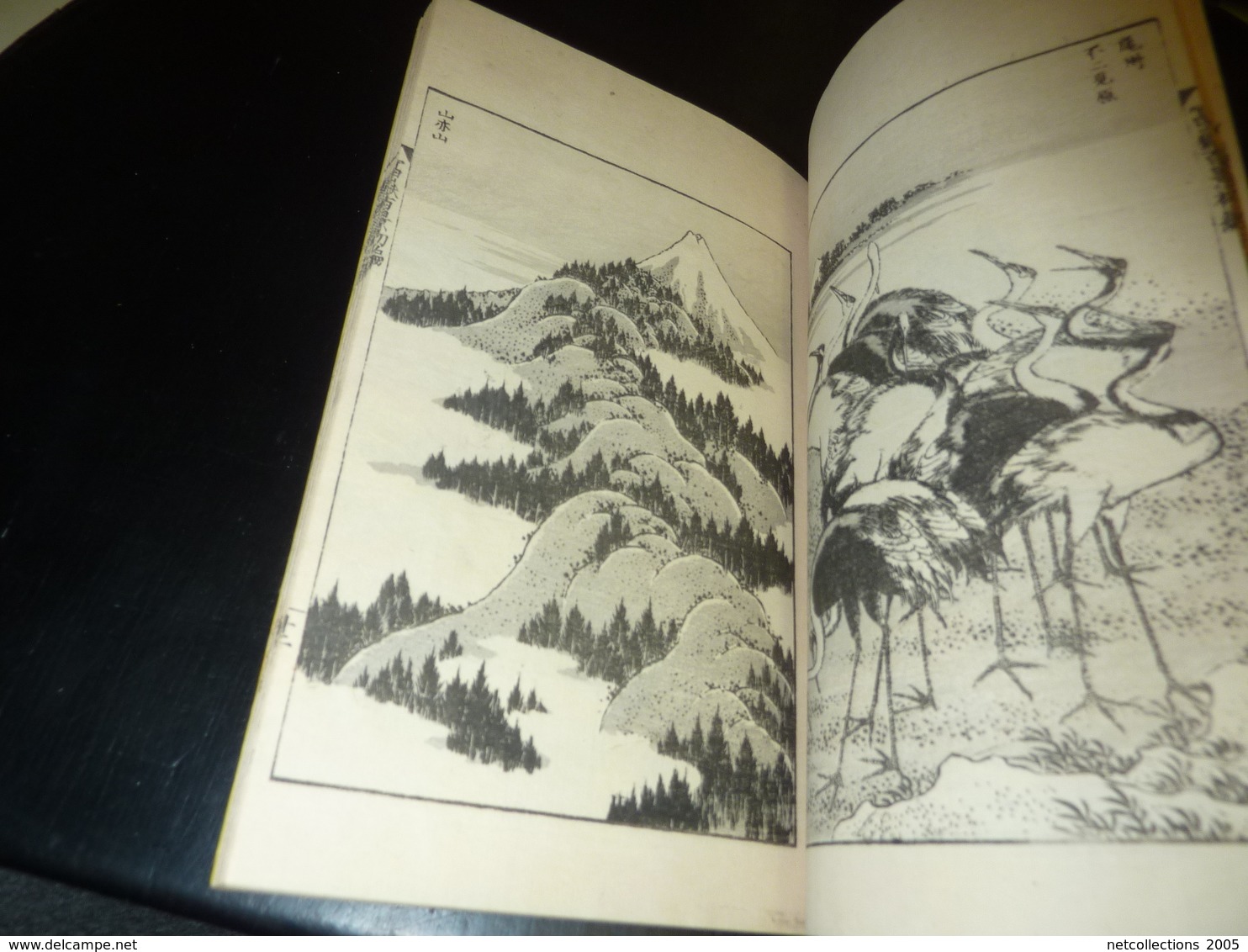 LIVRE ANCIEN JAPONAIS ESTAMPES LITHOGRAPHIES GRAVURES 04 - JAPANESE OLD BOOK ILLUSTRATION