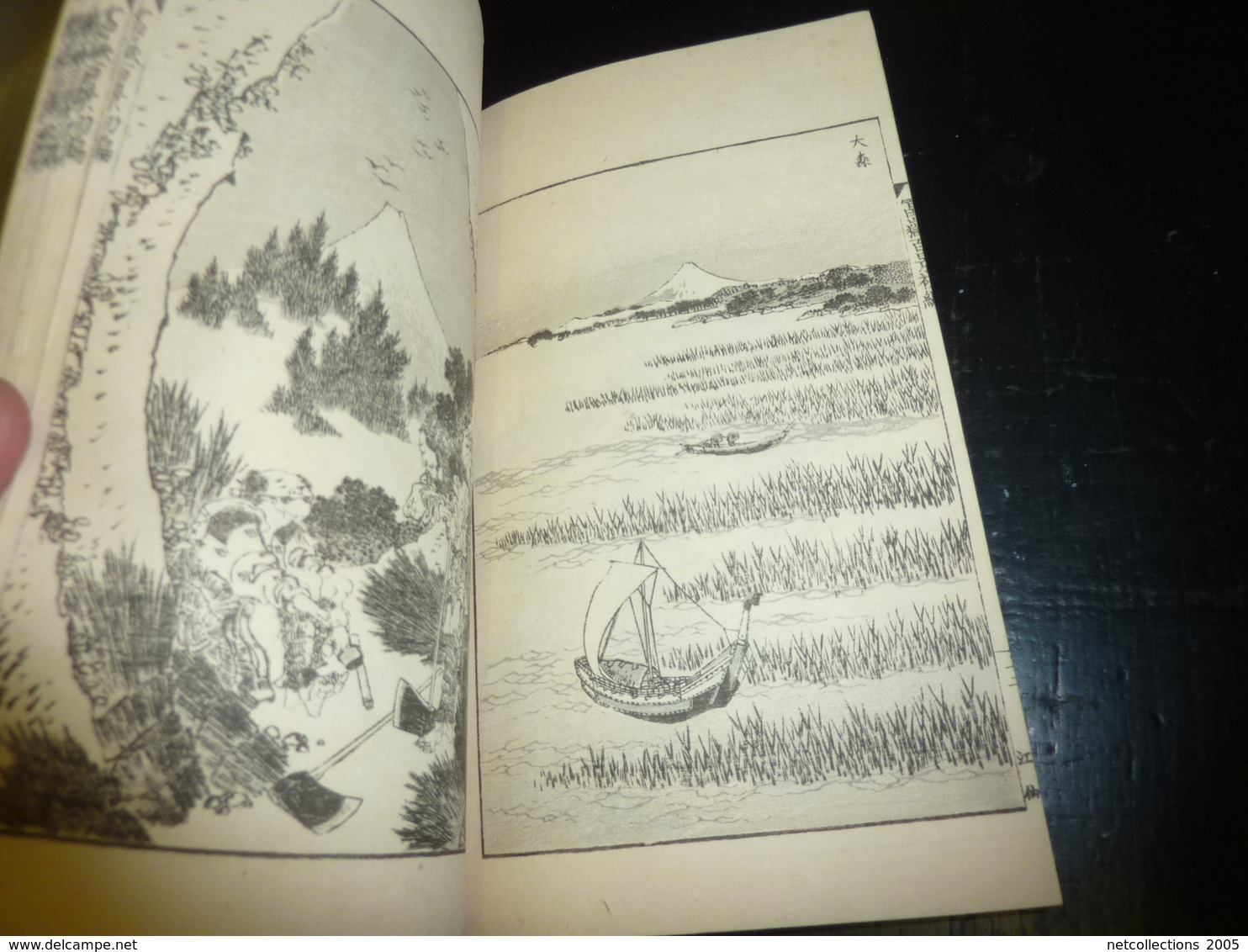 LIVRE ANCIEN JAPONAIS ESTAMPES LITHOGRAPHIES GRAVURES 04 - JAPANESE OLD BOOK ILLUSTRATION
