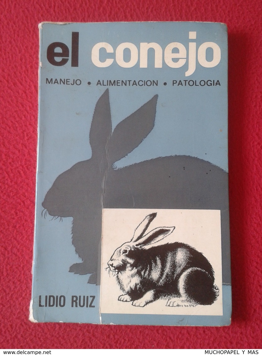 ANTIGUO LIBRO 1976 EL CONEJO MANEJO ALIMENTACIÓN PATOLOGÍA LIDIO RUIZ EDICIONES MUNDI-PRENSA 183 PÁG. RABBIT. EN ESPAÑOL - Práctico