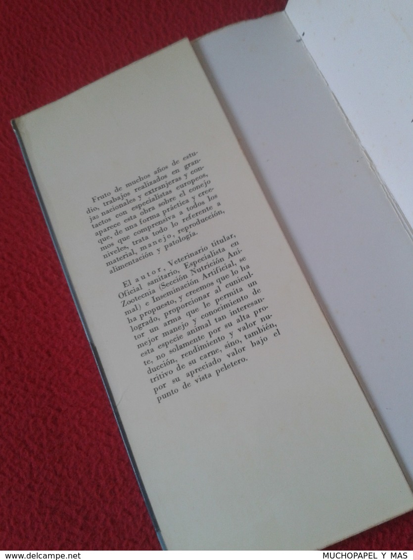 ANTIGUO LIBRO 1976 EL CONEJO MANEJO ALIMENTACIÓN PATOLOGÍA LIDIO RUIZ EDICIONES MUNDI-PRENSA 183 PÁG. RABBIT. EN ESPAÑOL - Praktisch