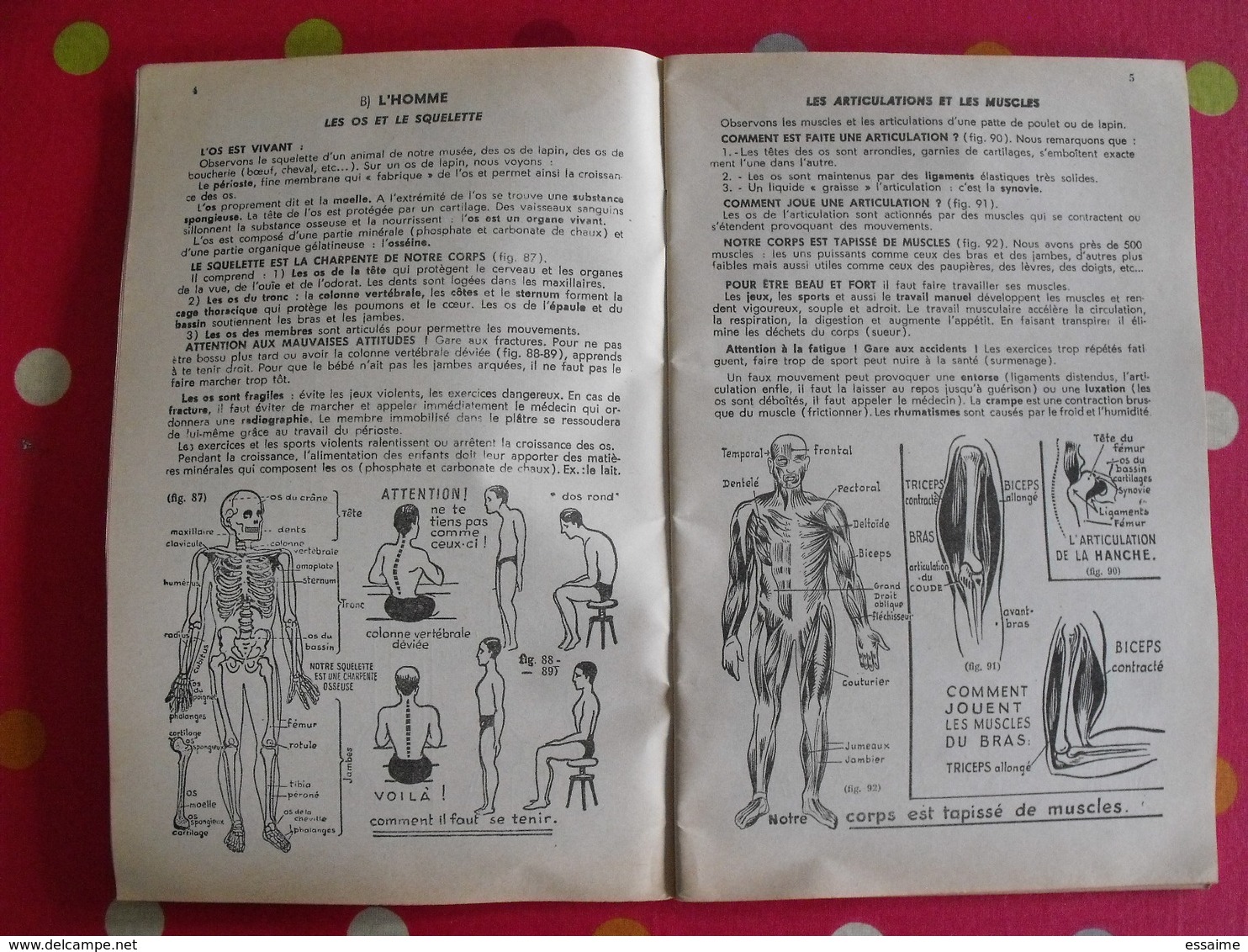 5 Livrets Memento  Optique électricité Sciences Naturelles. Useldinger Duolé Hennebelle Assombre. 1954-1964 - Learning Cards