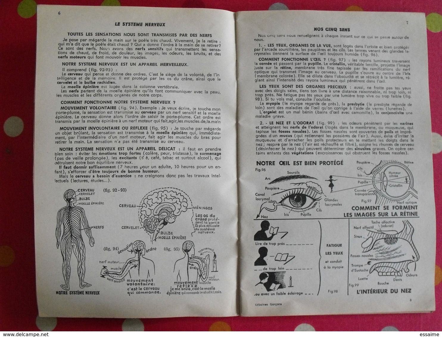 5 Livrets Memento  Optique électricité Sciences Naturelles. Useldinger Duolé Hennebelle Assombre. 1954-1964 - Fiches Didactiques