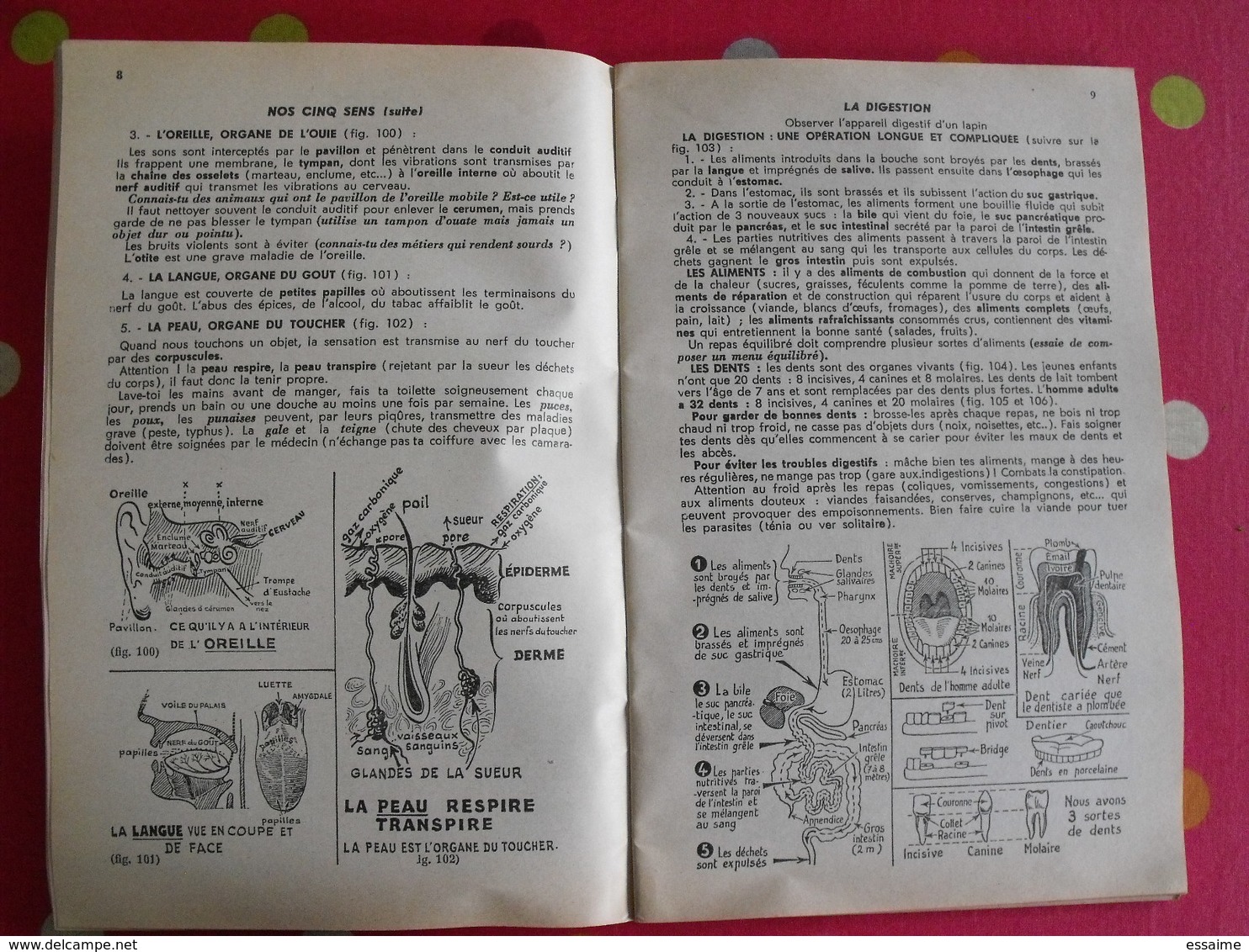 5 livrets memento  optique électricité sciences naturelles. Useldinger duolé Hennebelle assombre. 1954-1964