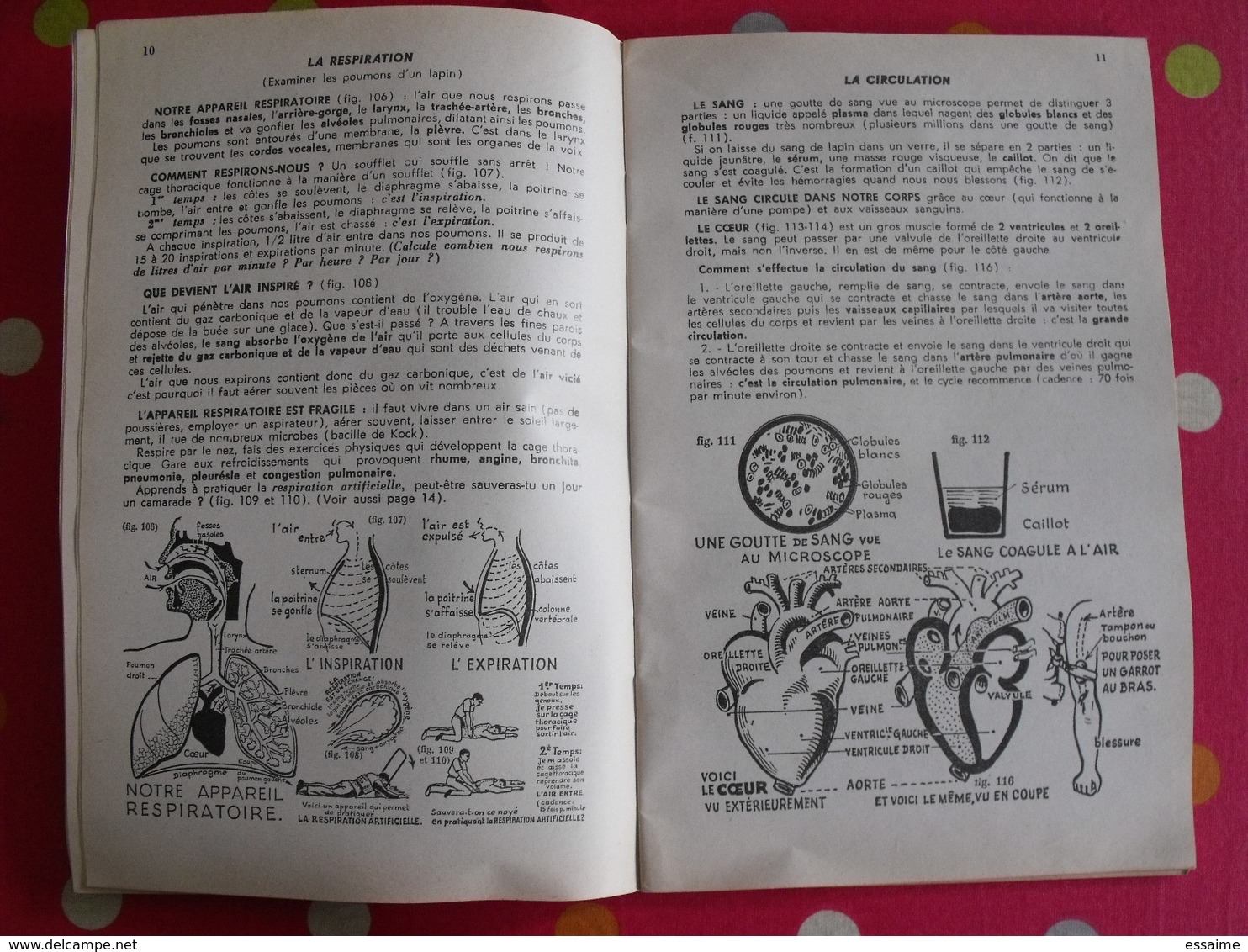 5 livrets memento  optique électricité sciences naturelles. Useldinger duolé Hennebelle assombre. 1954-1964