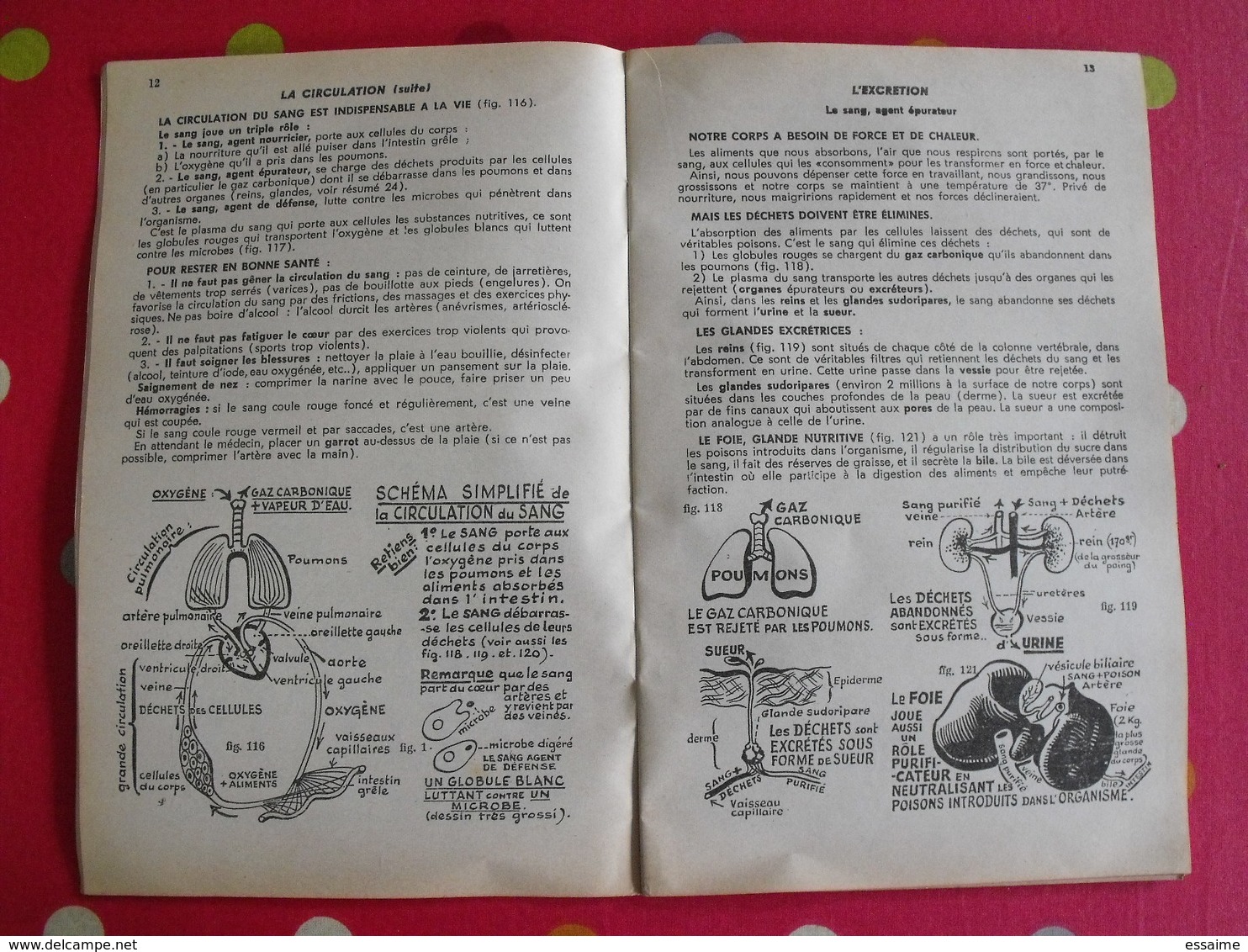 5 livrets memento  optique électricité sciences naturelles. Useldinger duolé Hennebelle assombre. 1954-1964