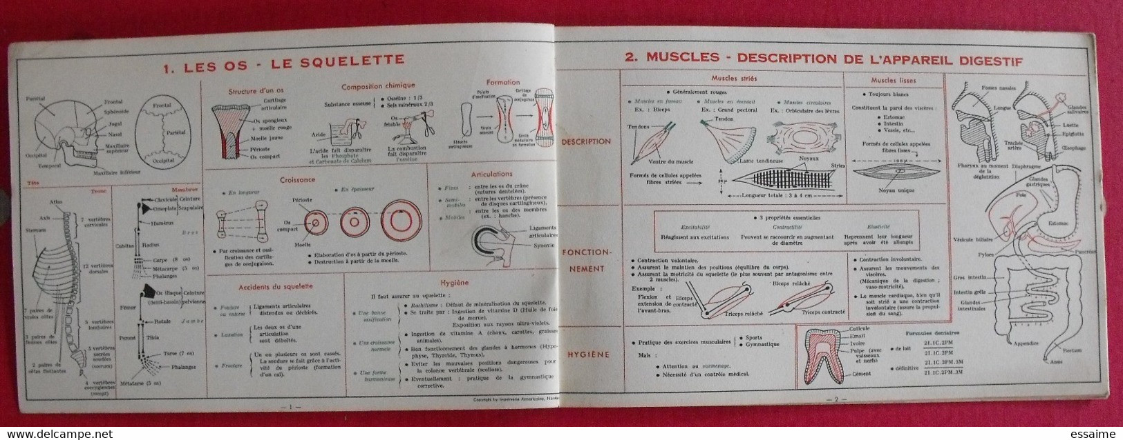 5 livrets memento  optique électricité sciences naturelles. Useldinger duolé Hennebelle assombre. 1954-1964