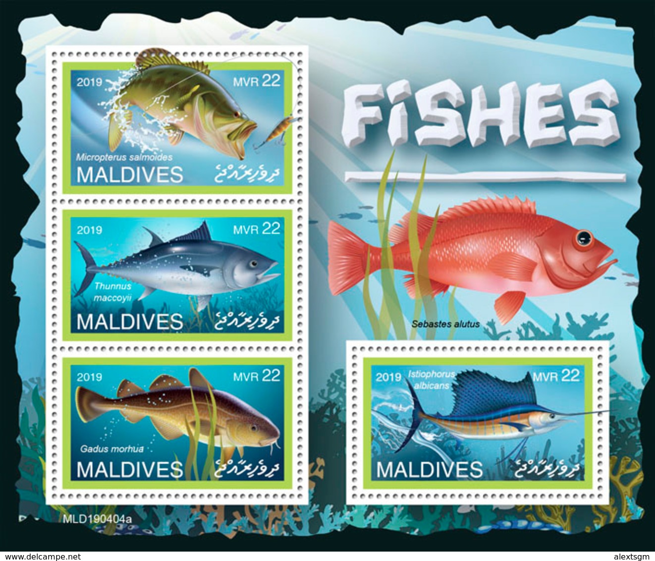 MALDIVES 2019 - Fishes. Official Issue [MLD190404a] - Peces