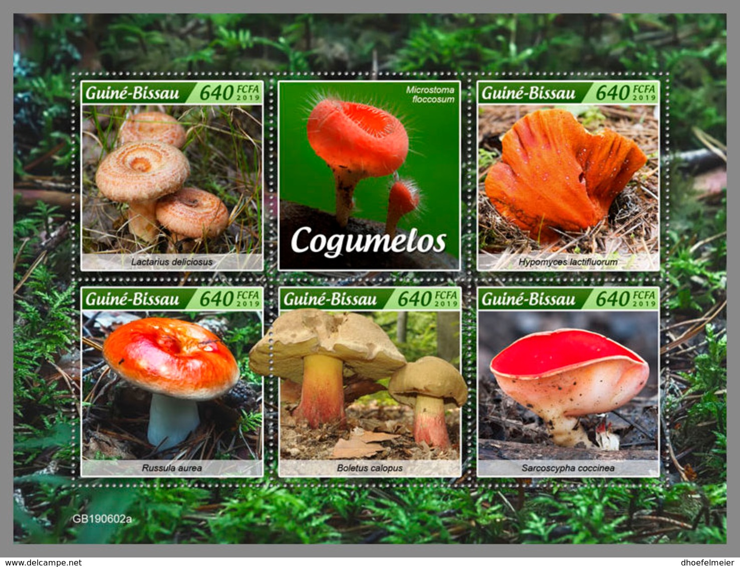 GUINEA BISSAU 2019 MNH Mushrooms Pilze Champignons M/S - OFFICIAL ISSUE - DH1930 - Funghi