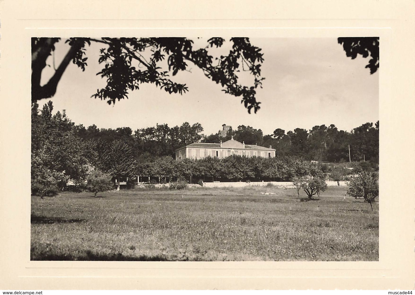 NANS LES PINS - PREVENTORIUM DE LA SAINTE BAUME - Nans-les-Pins