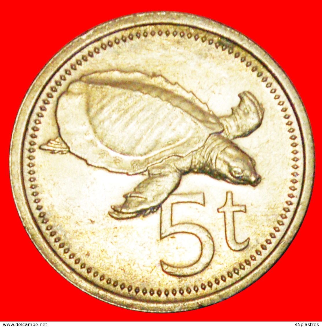 + GREAT BRITAIN TURTLE: PAPUA NEW GUINEA ★ 5 TOEA 1982 MINT LUSTER! LOW START ★ NO RESERVE! - Papoea-Nieuw-Guinea