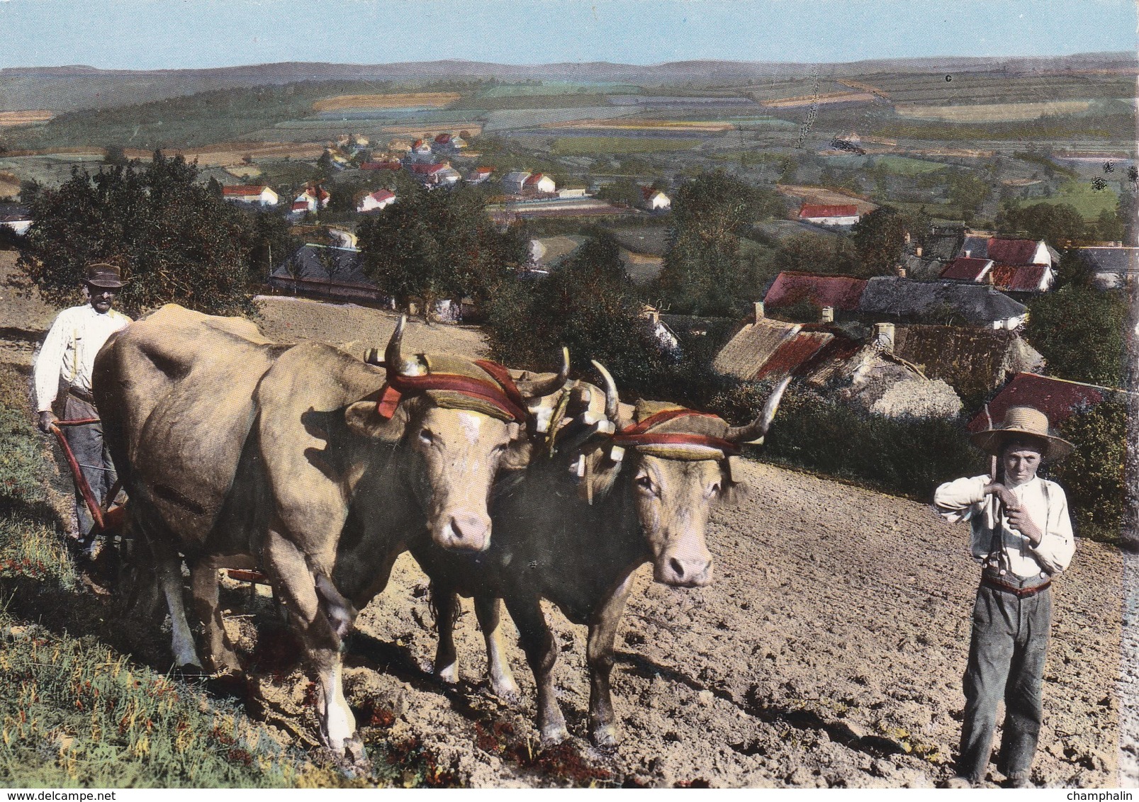 Le Morvan - Scène Morvandelle - Le Labourage - Folklore - Costumes Traditionnels - Attelage Boeufs - Galvacher - Bourgogne