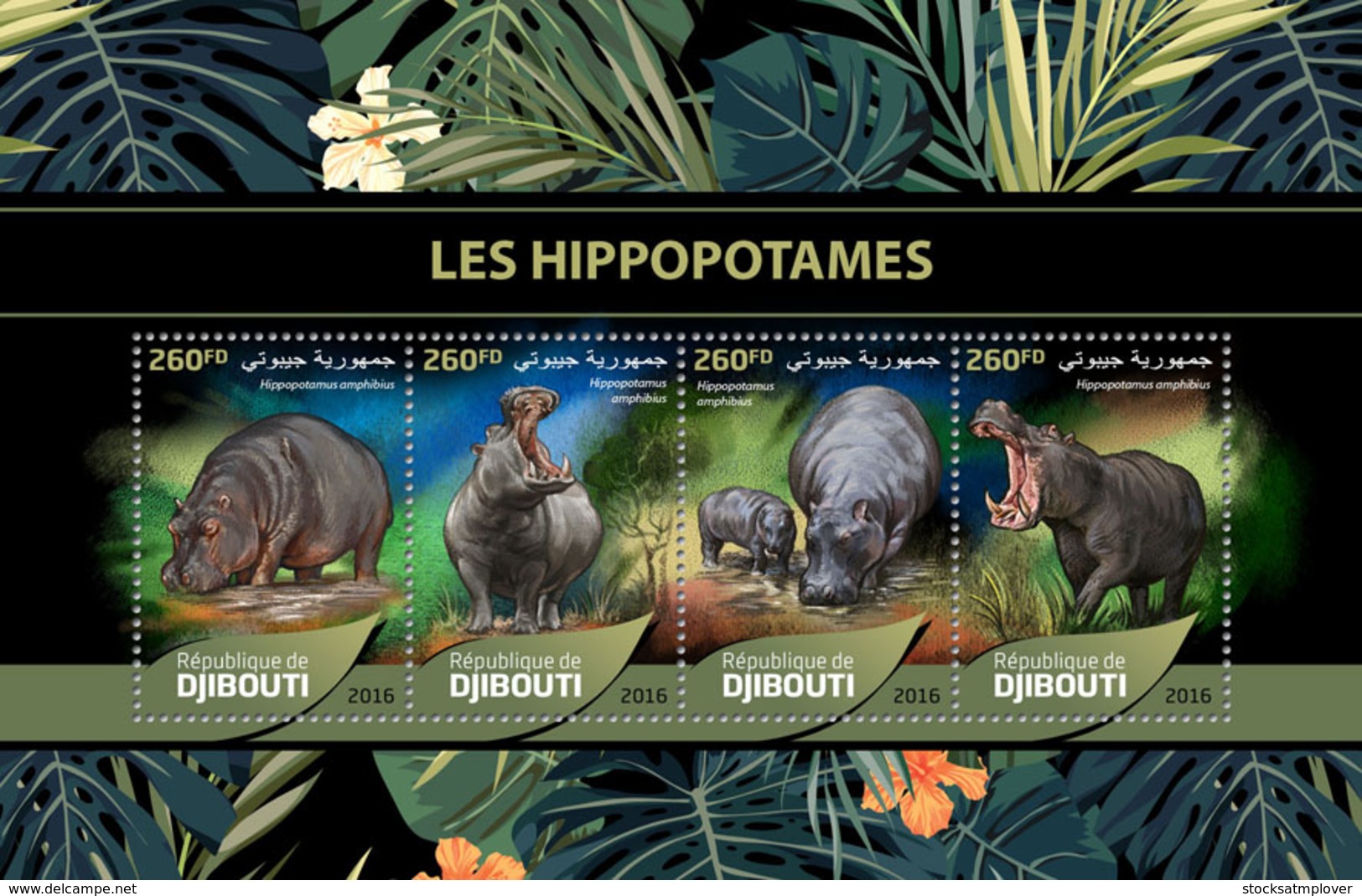 Djibouti 2016 Fauna Hippopotamus - Djibouti (1977-...)