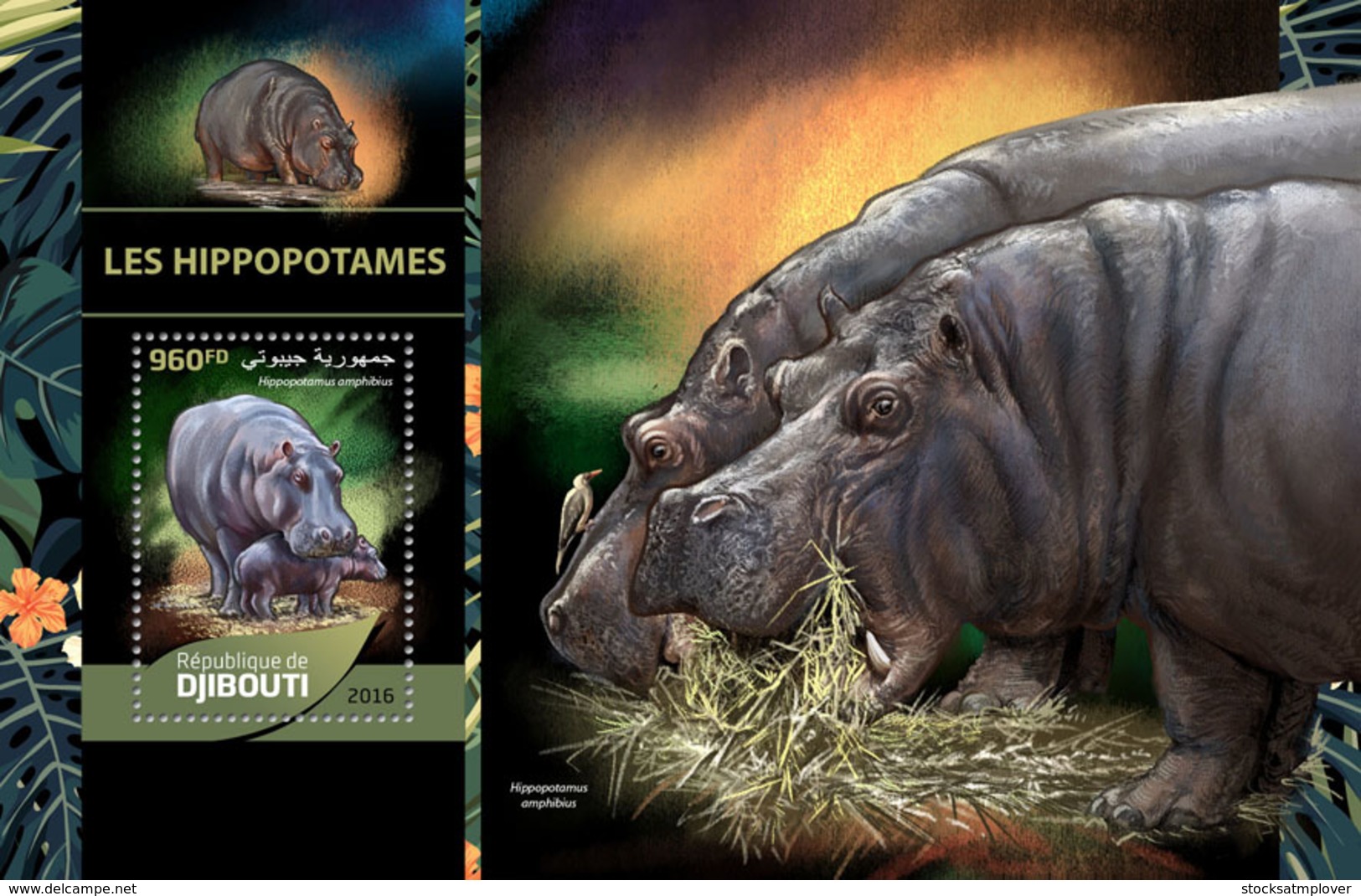 Djibouti 2016 Fauna Hippopotamus - Djibouti (1977-...)