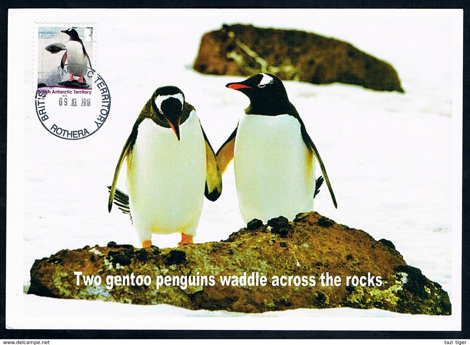 British Antarctic Territory • 2018 Postcard • Gentoo Penguins, Rothera - Covers & Documents