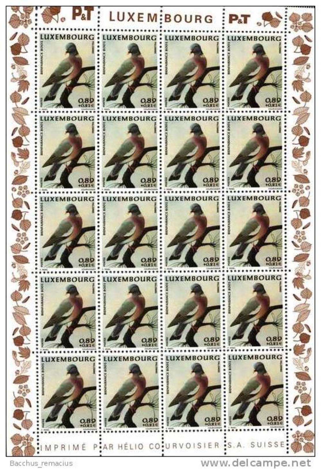 Luxembourg Feuille De 20 Timbres 0,89 + 0,21 Euro  Pigeon Ramier, Ringeltaube, Ringdove Timbre De Bienfaisance 2001 - Fogli Completi