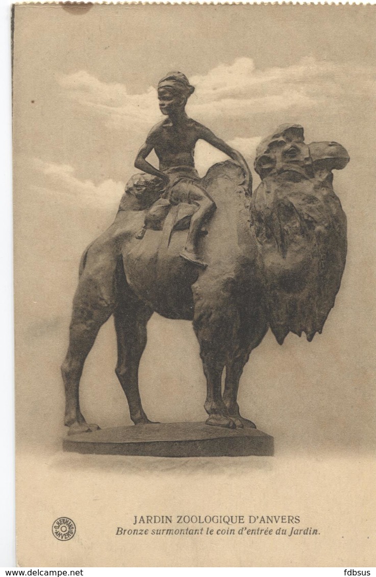Anvers Antwerp - Zoo - Bronze Statue With Camel - Brons Beeld Kameel -  Ed. G. Hermans - Antwerpen