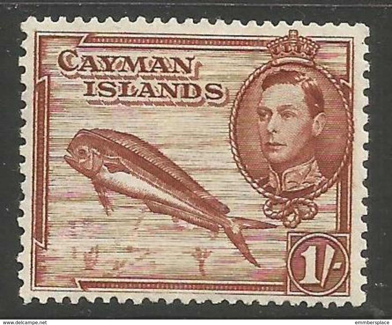 Cayman Islands - 1938 Dolphin 1s MH *  SG 123  Sc 108 - Cayman Islands