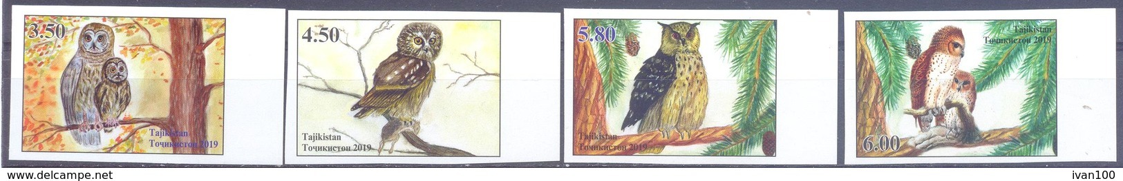 2019. Tajikistan, Owls Of Tajikistan, 4v Imperforated, Mint/** - Tadjikistan