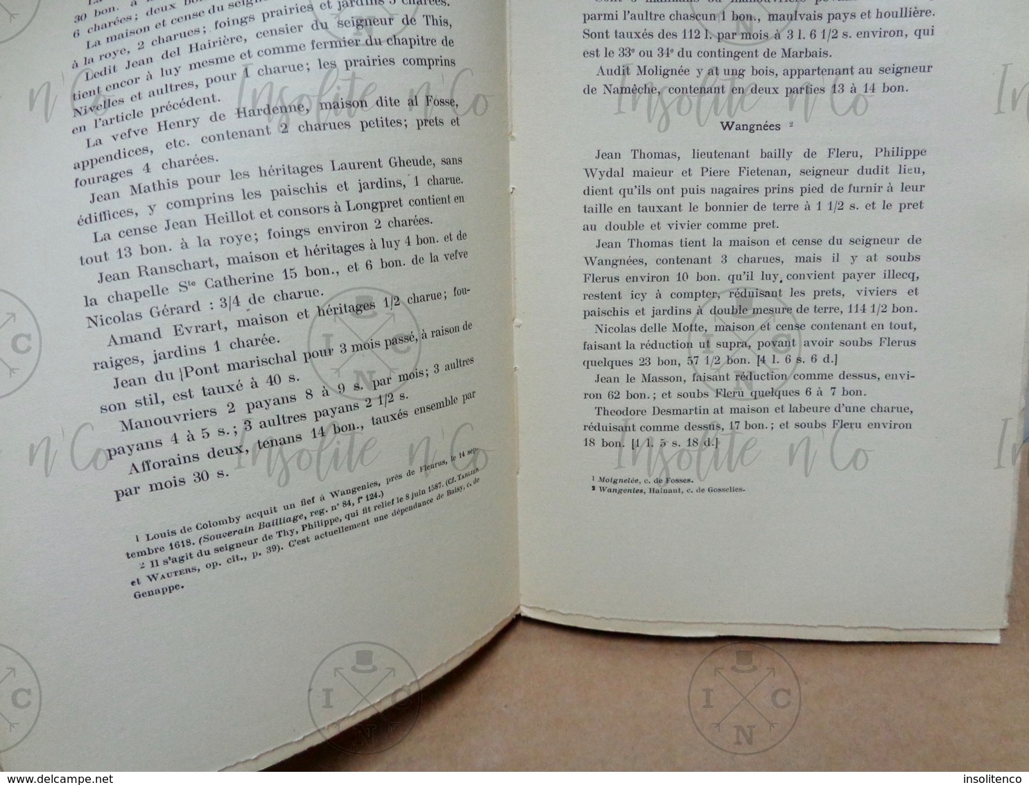 Livre "Les Terriers Du Comté De Namur 1601-1612"  - P.P. Brouwers - 1931 - Editions Wesmael-Charlier - - 1901-1940