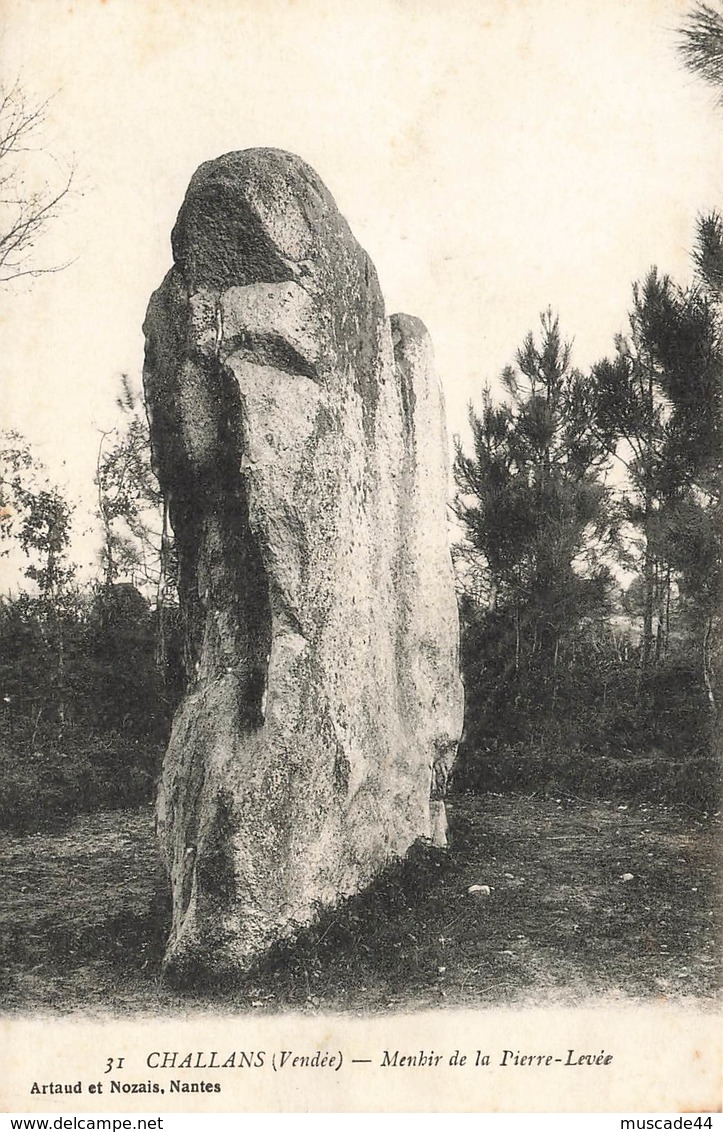 CHALLANS - MENHIR DE LA PIERRE LEVEE - Challans