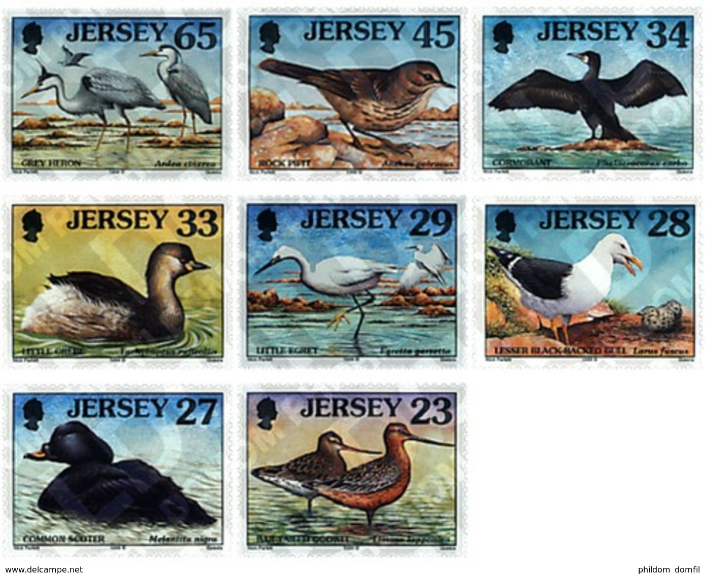 Ref. 41180 * MNH * - JERSEY. 1999. MARINE BIRDS AND WADERS . AVES MARINAS Y ZANCUDAS - Jersey