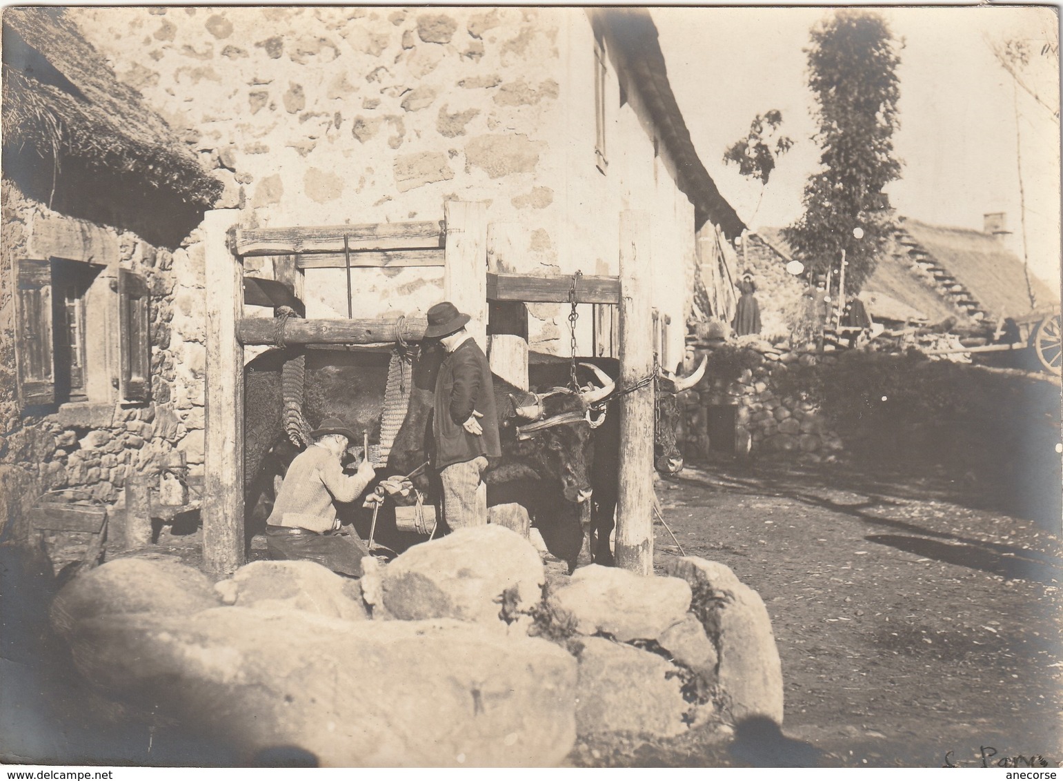 Ferrage Des Boeufs (  L Parry Cantal ) - Beroepen