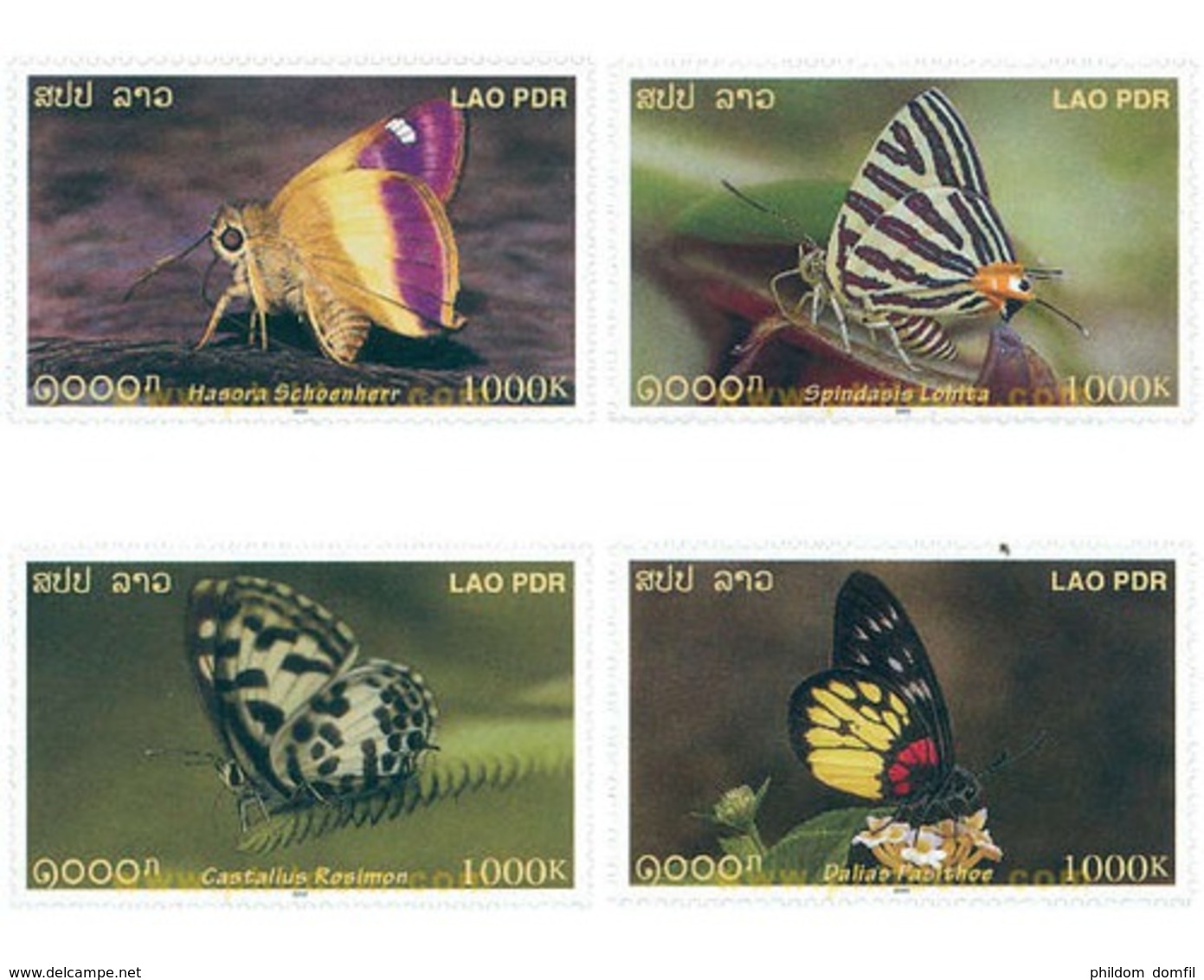 Ref. 345202 * MNH * - LAOS. 2003. BUTTERFLIES . MARIPOSAS - Laos