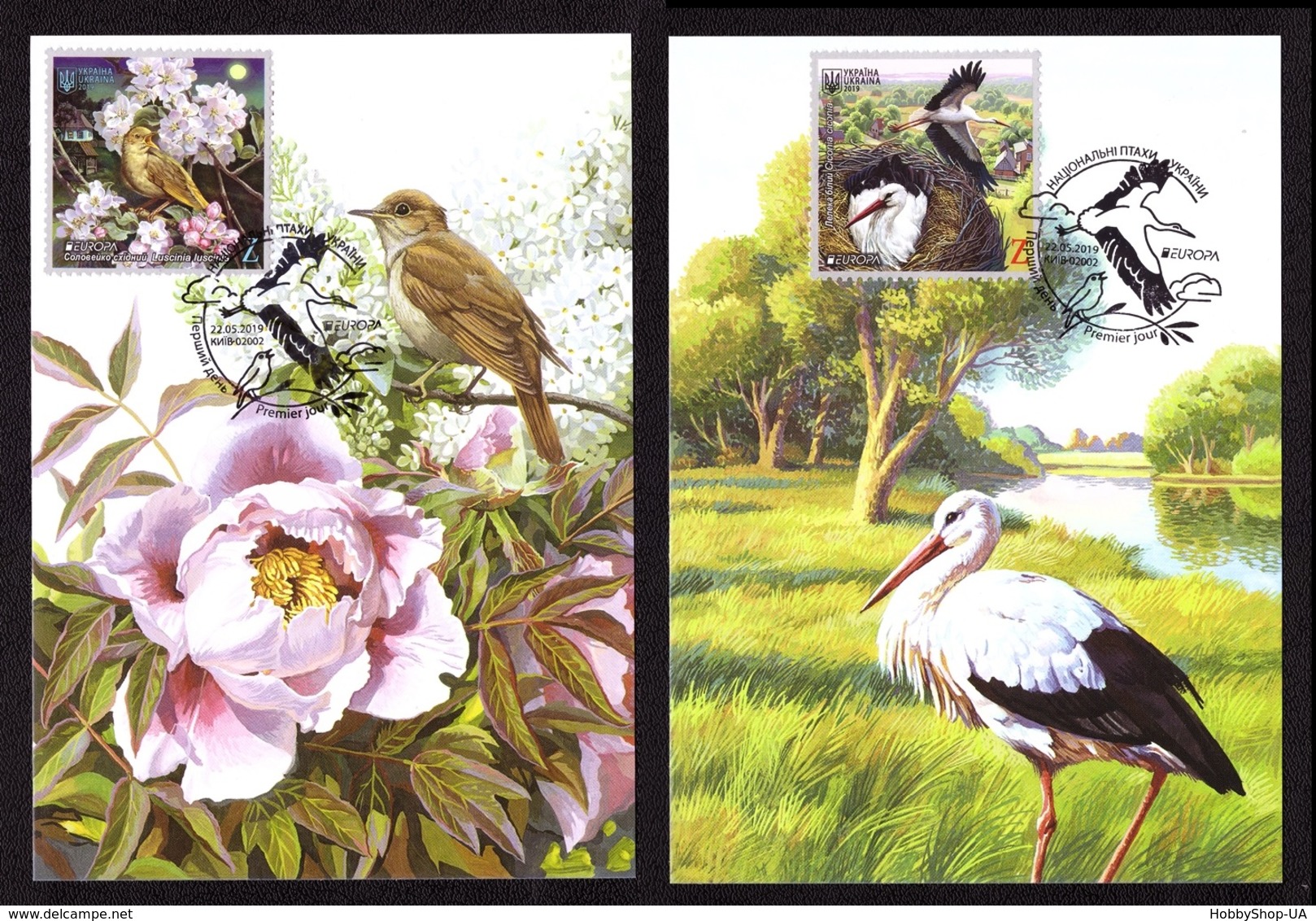 Ukraine 2019 MAXI MAXIMUM CARD EUROPA CEPT National Birds Of Ukraine White Stork Oriental Nightingale #805 - Ucraina