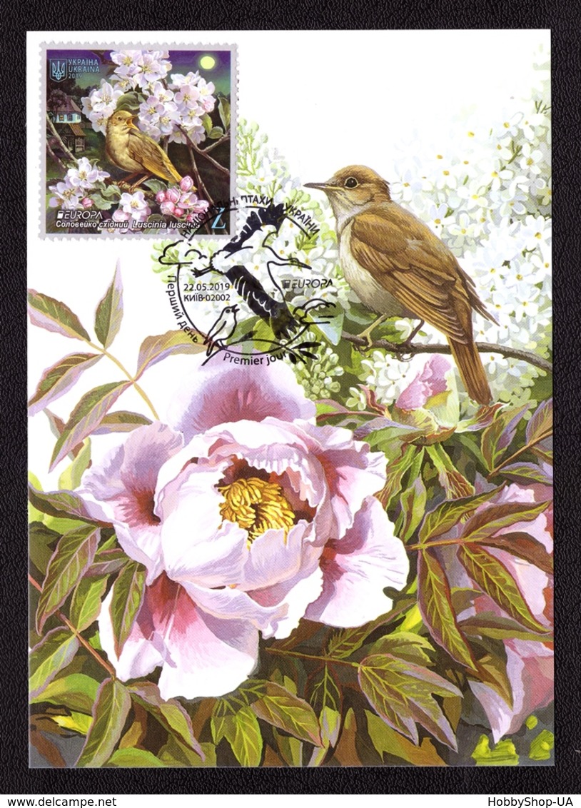 Ukraine 2019 MAXI MAXIMUM CARD EUROPA CEPT National Birds Of Ukraine White Stork Oriental Nightingale #805 - Ucraina