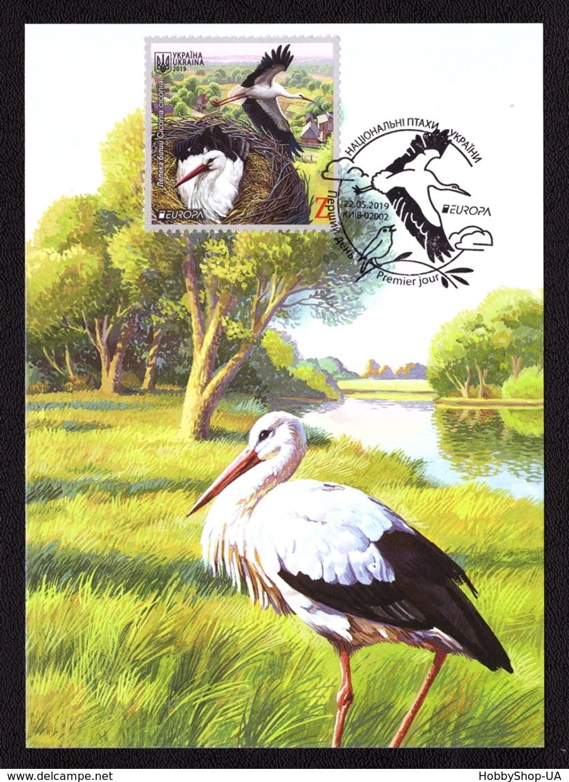 Ukraine 2019 MAXI MAXIMUM CARD EUROPA CEPT National Birds Of Ukraine White Stork Oriental Nightingale #805 - Ukraine