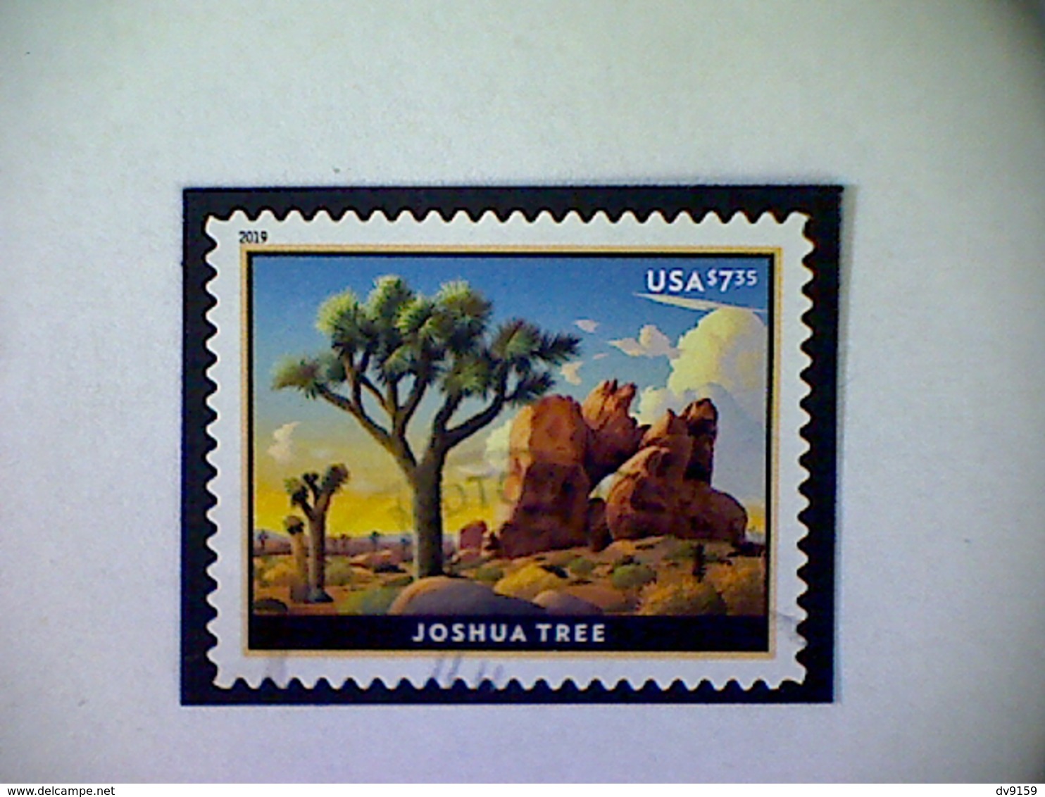 United States, Scott #5347 Used(o), 2019, Joshua Tree, $7.35, Multicolored - Usati