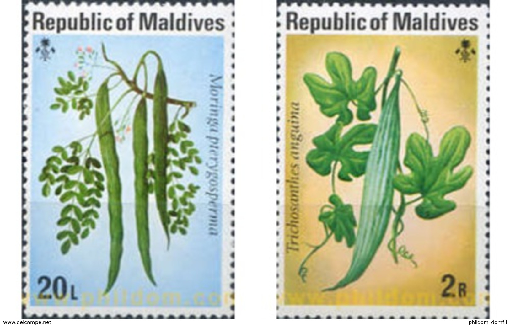 Ref. 340487 * MNH * - MALDIVES. 1977. FRUITS . FRUTOS - Obst & Früchte