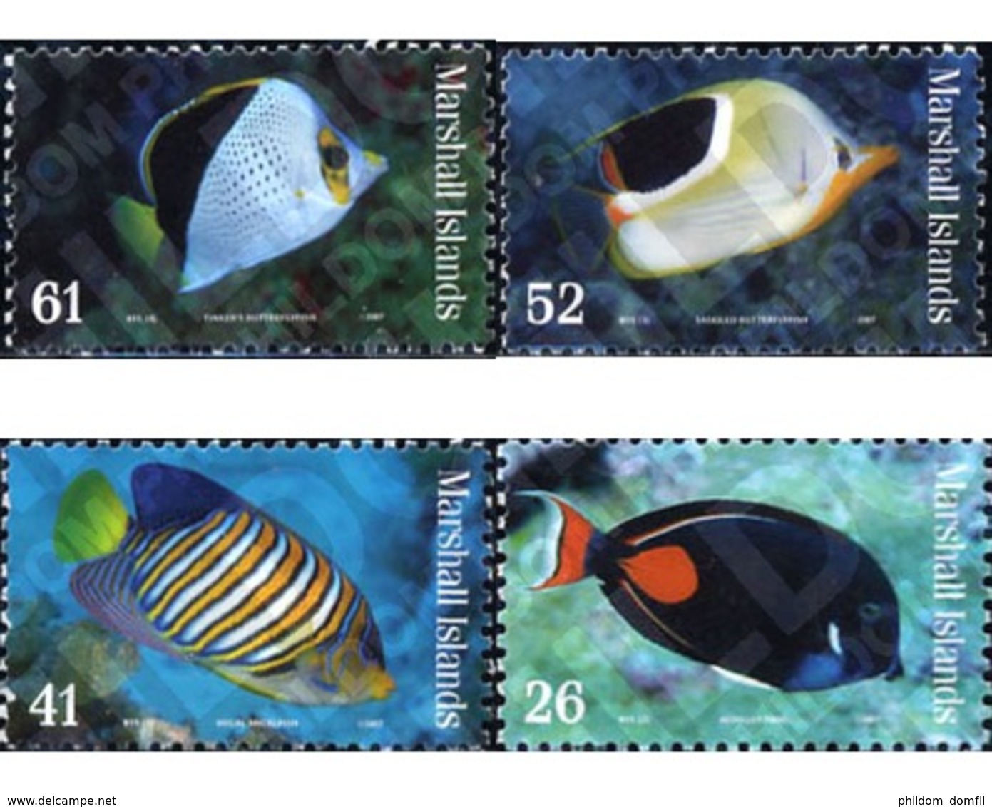 Ref. 216114 * MNH * - MARSHALL Islands. 2007. FISHES . PECES - Fishes