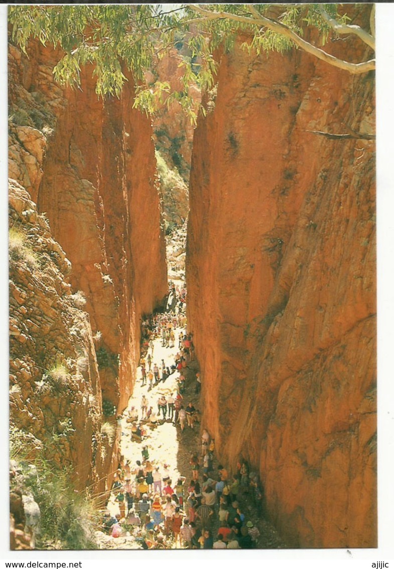 Geological Formation Of Standley Chasm (Aboriginal People Original Owners).Carte Postale Entier Postal Neuf Australie - Ozeanien