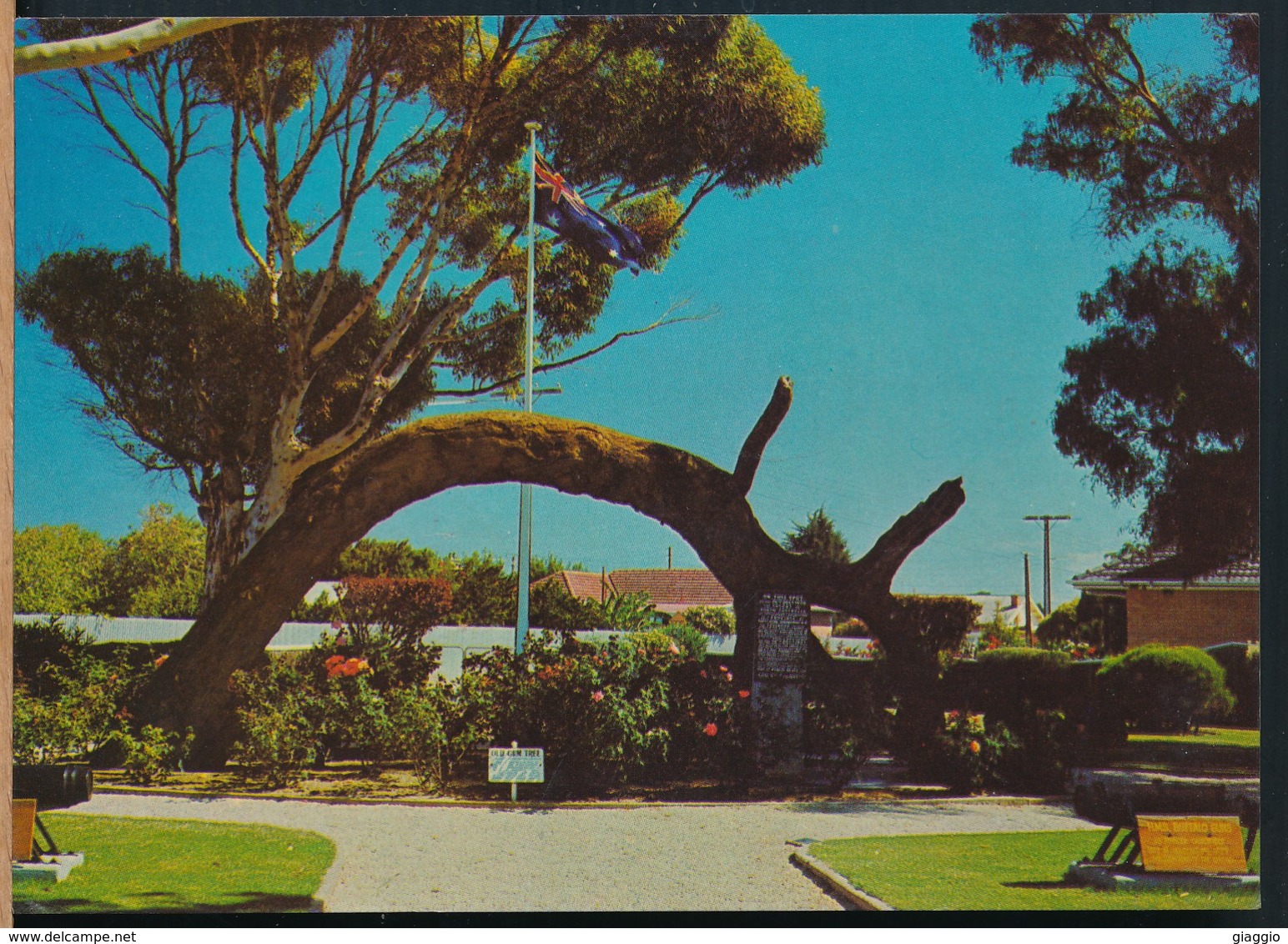 °°° 13381 - AUSTRALIA - OLD GUM TREE , GLENELG - 1972 With Stamps °°° - Altri & Non Classificati