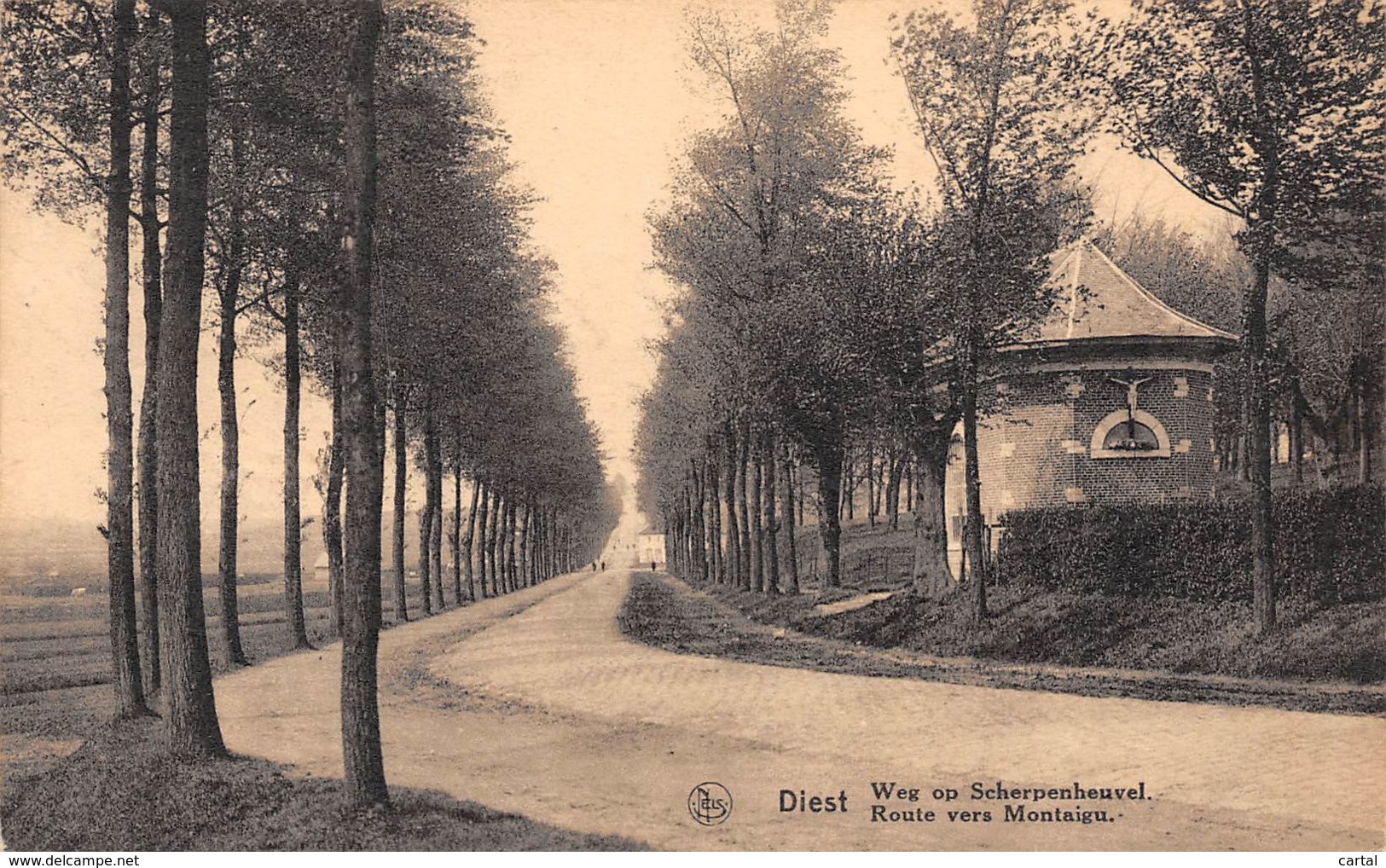 DIEST - Weg Op Scherpenheuvel - Route Vers Montaigu - Diest