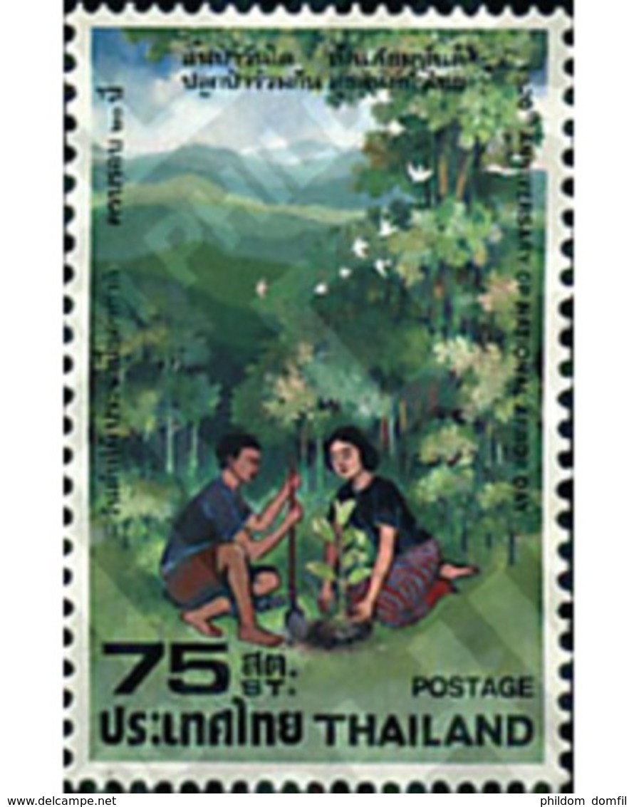 Ref. 40195 * MNH * - THAILAND. 1979. TREE DAY . DIA DEL ARBOL - Thaïlande