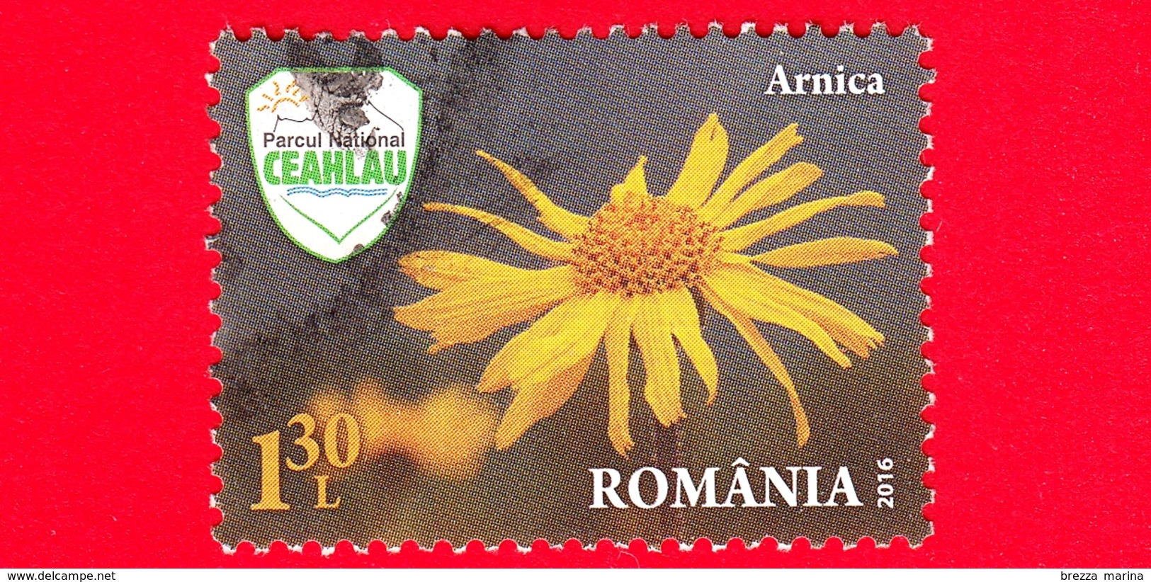 ROMANIA - Usato - 2016 - Fiori - Piante - Erba Medicinale - Arnica Montana - Ceahlau National Park - 1.30 - Usati