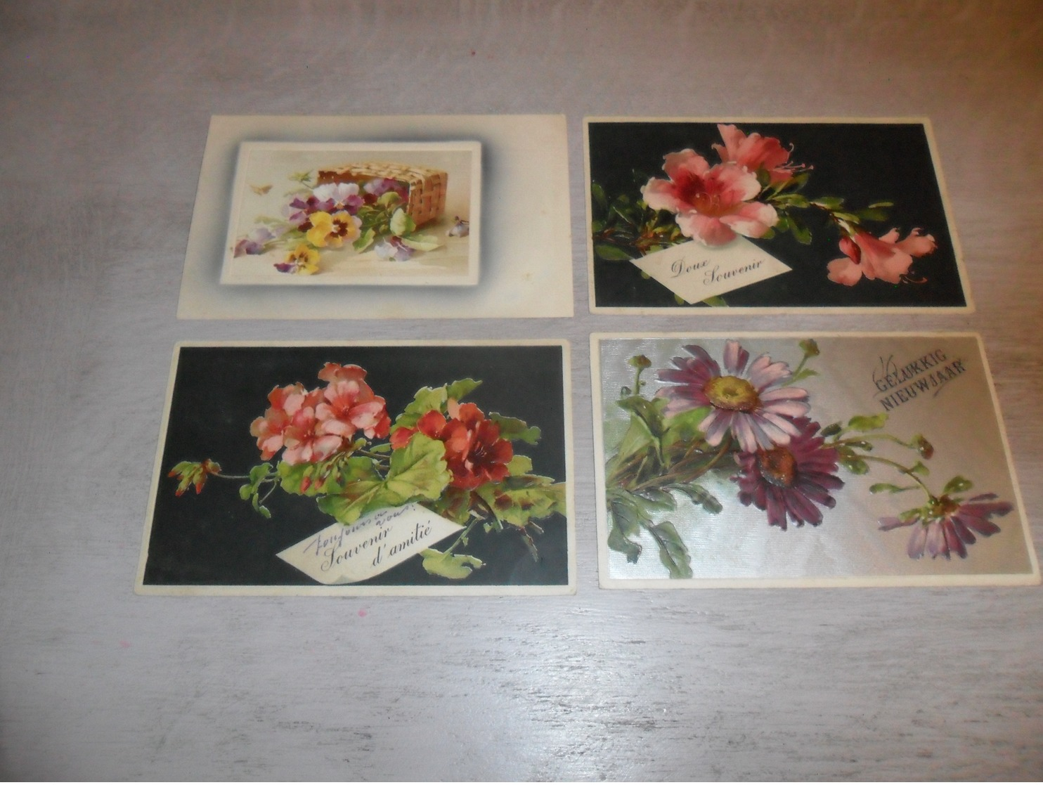 Beau Lot De 20 Cartes Postales De Fantaisie  Illustrateur Catharina Klein ( Pas Signée ) Fleur   20 Postk. Bloemen Bloem - 5 - 99 Cartes