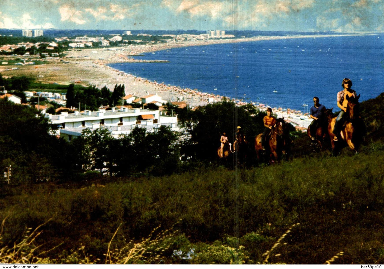 66 ARGELES-SUR-MER  ENTRE ARGELES ET COLLIOURE  VUE PANORAMIQUE DE LA PLAGE - Argeles Sur Mer