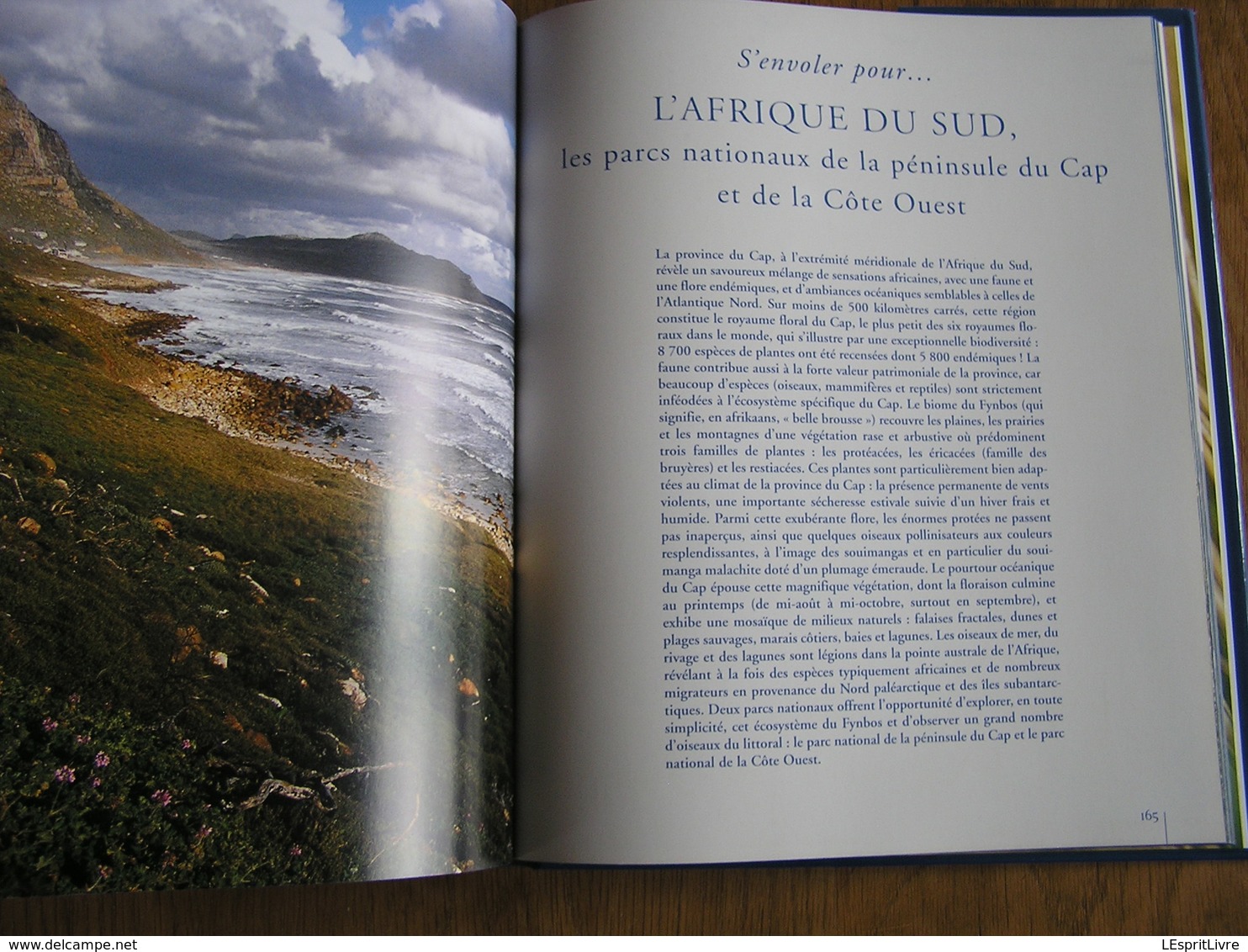 LES OISEAUX DE L' ATLANTIQUE Spitzberg Cap de Bonne Espérance Oiseau France Littoral Ornithologie Ornithologue Afrique