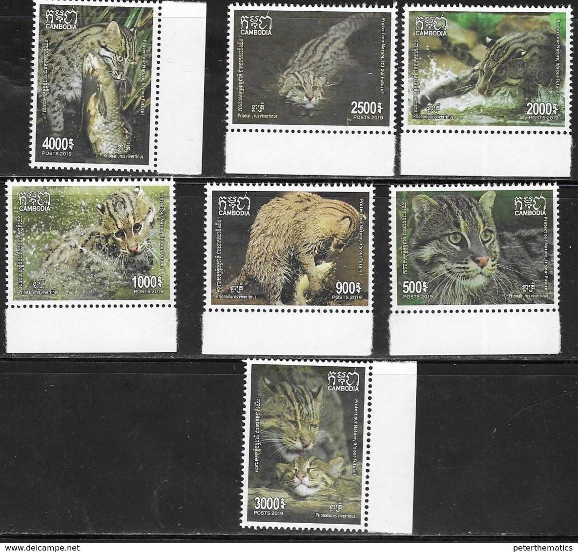 CAMBODIA, 2019, MNH, CATS, WILD CATS, FISHING CAT, FISH,7v, SCARCE - Big Cats (cats Of Prey)