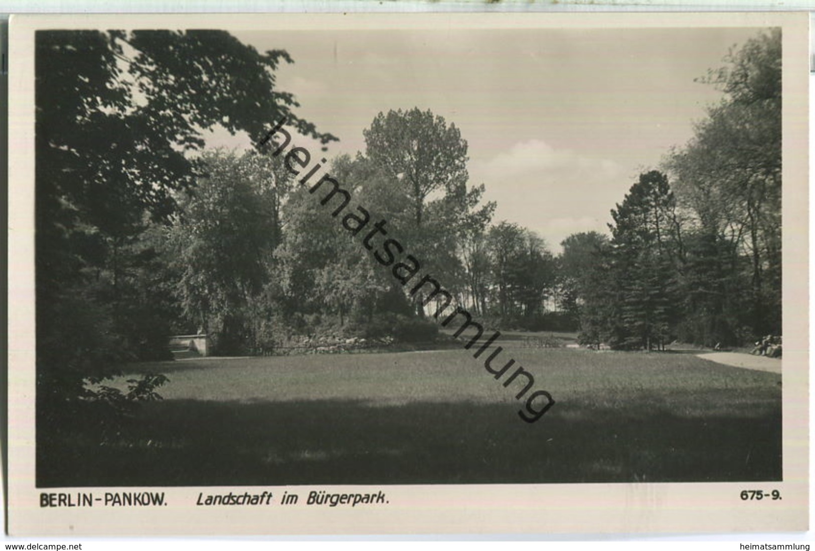 Berlin-Pankow - Landschaft Im Bürgerpark - Verlag Ludwig Walter Berlin - Foto-Ansichtskarte 40er Jahre - Pankow