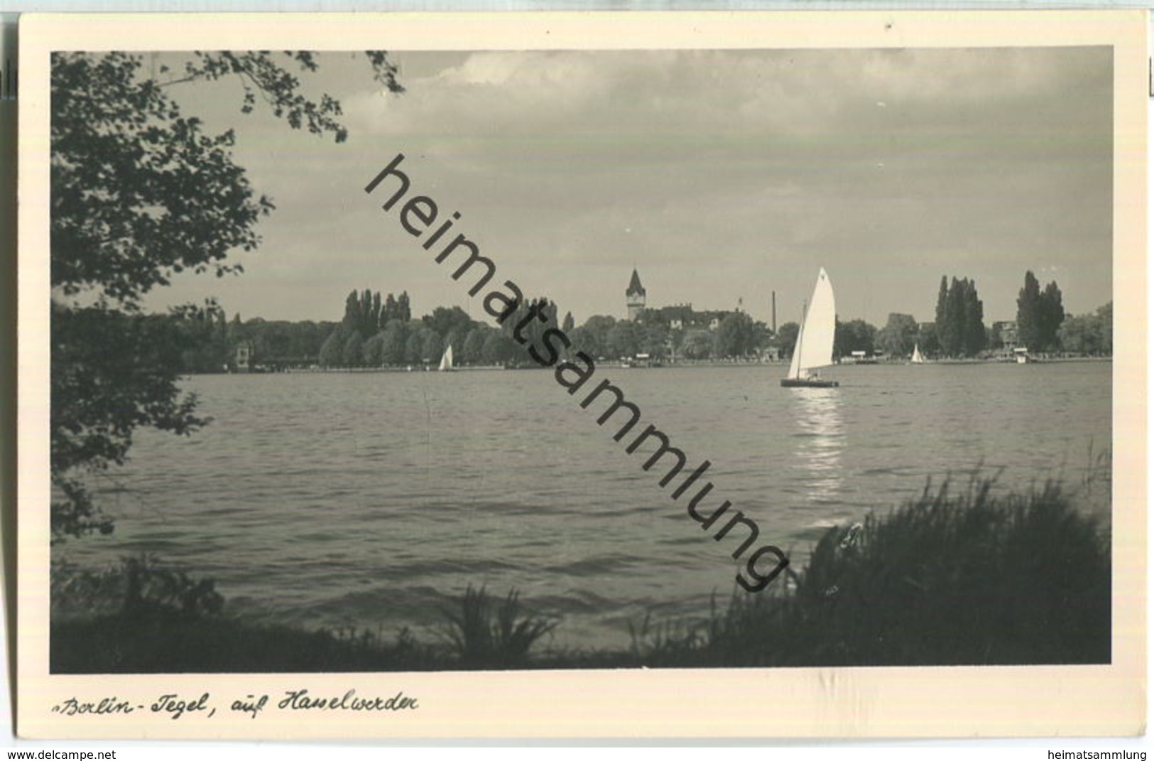 Berlin-Tegel - Blick Auf Die Insel Hasselwerder - Foto-Ansichtskarte 50er Jahre - Tegel