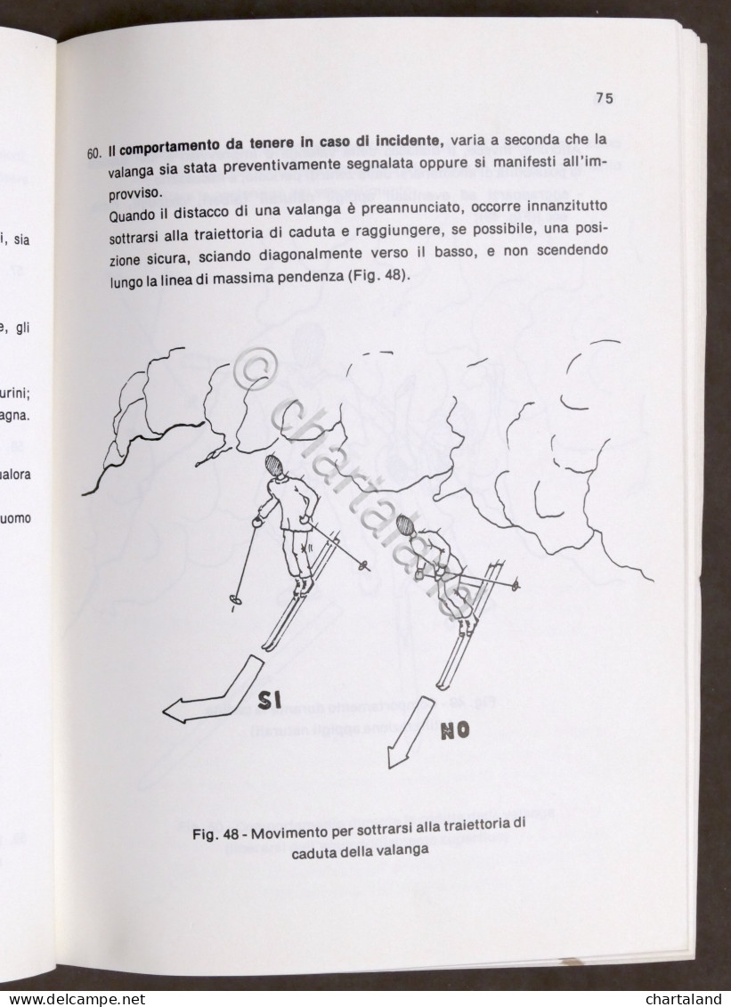 Militaria - Stato Maggiore Esercito - N. 6247 - Meteorologia E Valanghe - 1980 - Documenti